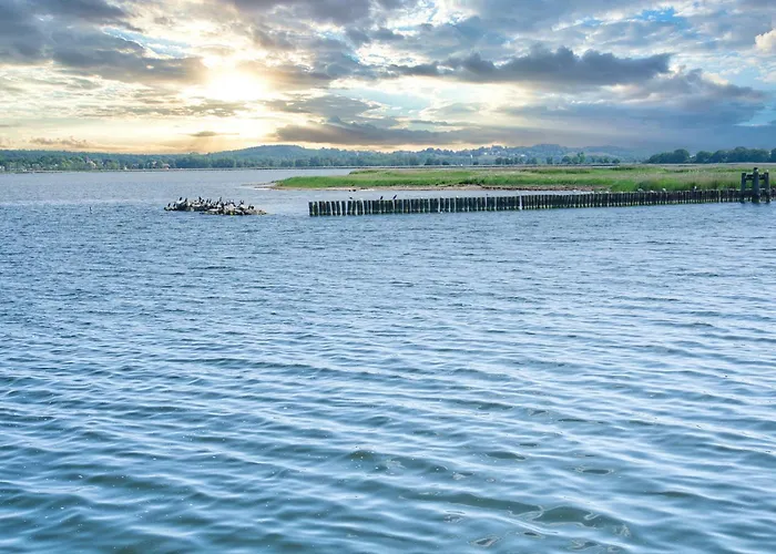 Gratis Nutzung Vom Ahoi Erlebnisbad Und Sauna In Sellin - Haus Inselwind Meerwind *